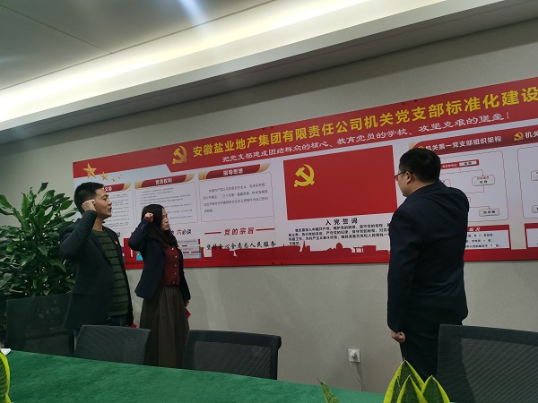 安徽鹽業(yè)地產(chǎn)集團機關第一黨支部開展“佩黨徽、誦誓詞、贈黨章、上黨課”黨員教育活動