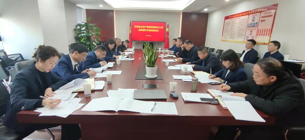 地產(chǎn)集團(tuán)召開品質(zhì)提升年活動推進(jìn)會