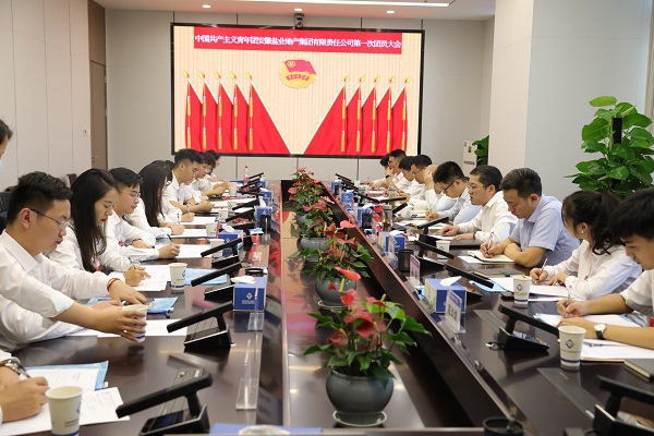 青春向黨傳薪火 踔厲奮發(fā)新時(shí)代——安徽鹽業(yè)地產(chǎn)集團(tuán)團(tuán)支部成立大會暨團(tuán)員大會勝利召開